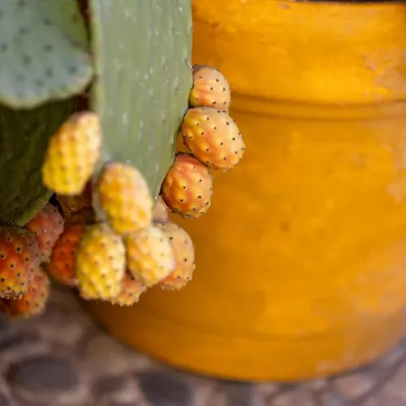 Terrazza Vista Mare *