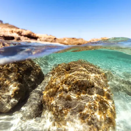 Terrazza Vista Mare *