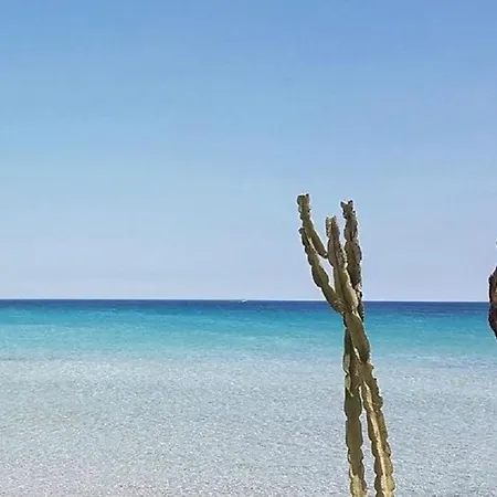 Appartamento Terrazza Vista Mare Marzamemi